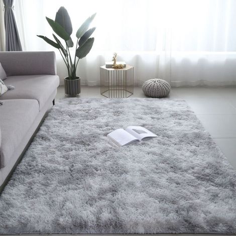 Tapis Moelleux Moderne 60 x 120 cm Texture Peluche Haut de Gamme Antiglissant Pour Chambre à Coucher Salon Séjour (1/4)