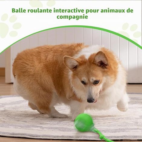 Rolling Ball for Cats and Dogs, Interactive Rolling Ball for Cats, Interactive Dog Ball Toy That Moves By Yourself (Red) (1/4)