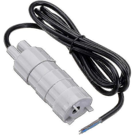 Pompe à eau submersible à haut débit Whale pour camping-car, caravane et véhicule de loisirs 12 V (1/5)