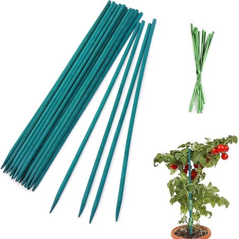 Wooden Plant Stakes Plant Support for Garden or Home (1/5)