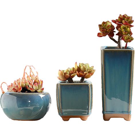 Lot de 3 jardinières en céramique émaillée pour cactus et mini bonsaïs, pour la décoration de la maison et du bureau (plantes non incluses) (1/4)