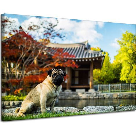 Leinwanddruck Tiere Mops Hund 120x80 cm