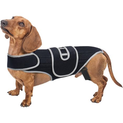 Orthèse dorsale pour chien en cas de hernie discale et de protrusion discale, soutien flexible (1/4)