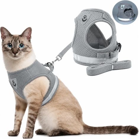 Harnais et laisse réfléchissants anti-fugue pour chat Irovami, gris M