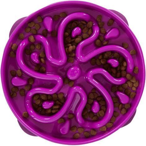 Large Purple Fun Feeder Slo Bowl Slow Feeder Dog Bowl No Bloat No Choke (1/4)