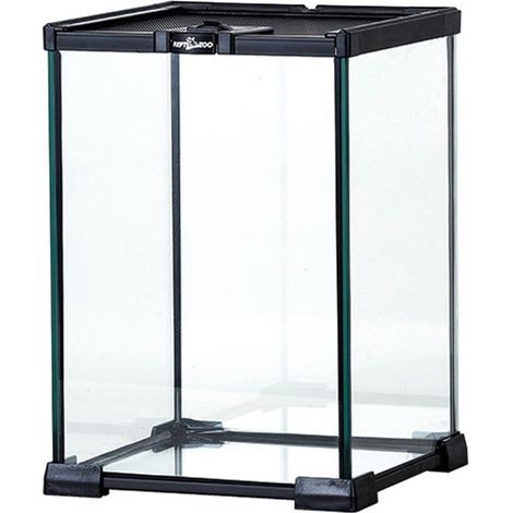Terrario impermeabile terrari PER ragno scorpione tartaruga geco allegro (1/5)
