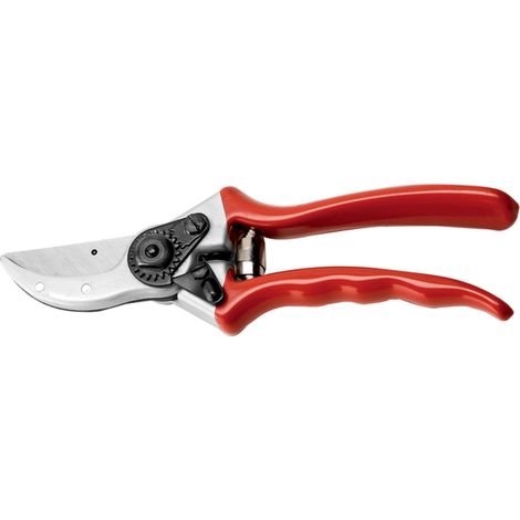 FORBICI DA POTA AUSONIA 21 cm - 6 pezzi- AUSONIA