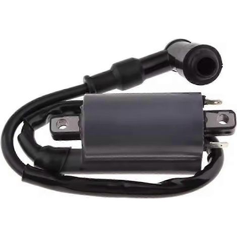 Bobine d'allumage compatible avec les moteurs Buyang 260. 260cc. 300cc. D300 et G300. (1/5)