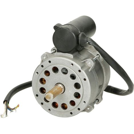 BOSCH Motore 50W 230V 50Hz everp, 8718590894