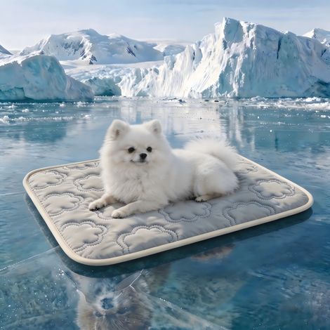 Tapis rafraîchissant pour chien forme nuage respirant, matelas été lavable pour chats et petits chiens,Gris,S-50x40cm (1/2)