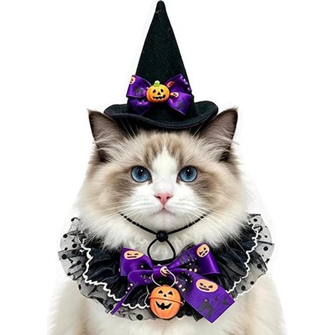 Cappello per cani di Halloween - Accessorio per costume cosplay (1/5)