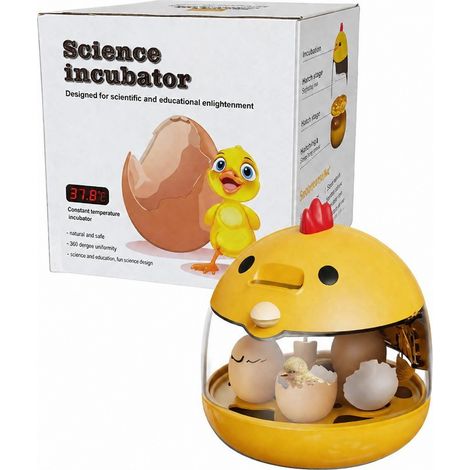 Petit incubateur intelligent à œufs avec contrôle automatique de la température, pour un usage domestique, les perroquets et les poules.-AquaForge (1/5)