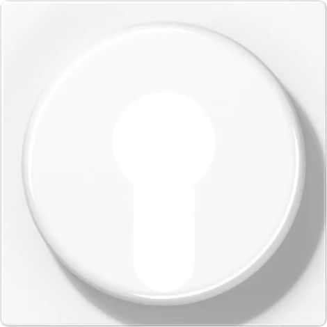 Jung Abdeckung aws für Schlüsselschalt. A 528 PL WW (1/2)