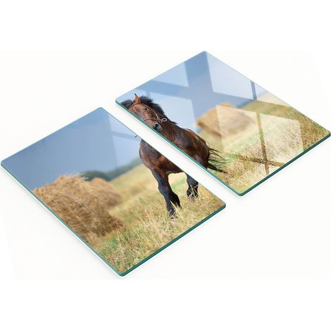 Tablas decorativas de cristal para cortar y servir con dise帽o de caballo al galope, 2x40x52 cm.