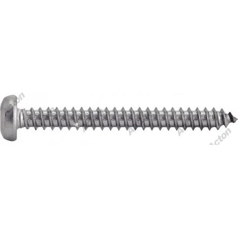 Acton Edelstahlblechschrauben A2 4,2x19 mm Box 200 (1/3)
