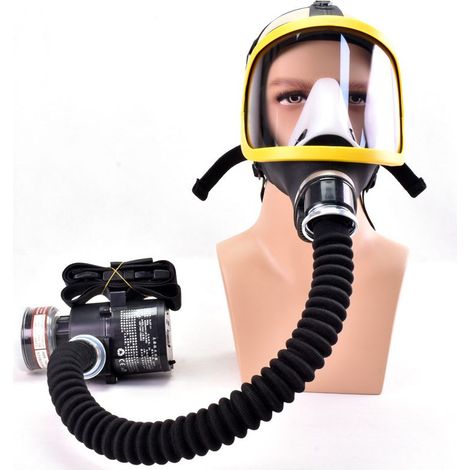 Débit d'air constant électrique alimenté Masque à gaz facial complet Système respiratoire Masque respiratoire de protection Dispositif de sécurité sur le lieu de travail (1/5)