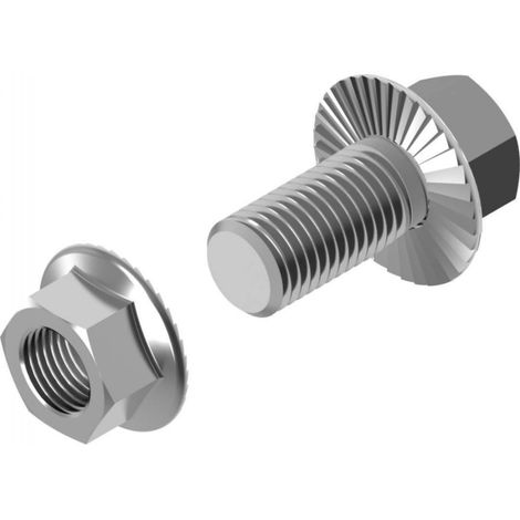 Schraube + gezahnte Flanschmutter (Satz) Typ SKK M8X14 650452 /100 Stück/
