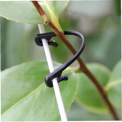 300 clips de jardinage en plastique, outils de fixation pour plantes grimpantes et de plantation (noir) (1/5)
