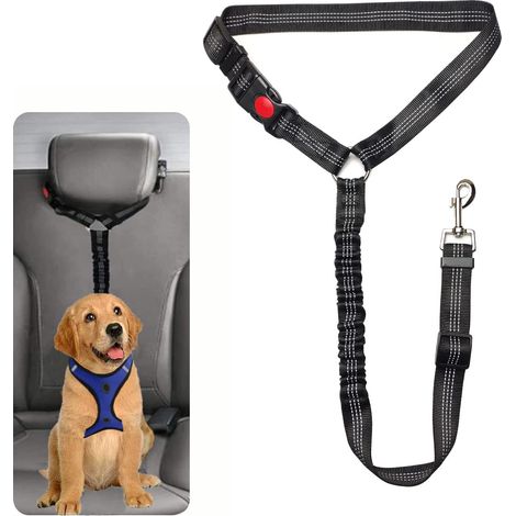 Ceinture de Sécurité Chien pour Voiture Laisse Élastique Réfléchissante Appui-Tête Réglable Noir (1/5)