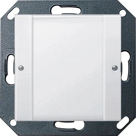 Gira Sensor táctil 2 1f 24 V libre de potencial BSF Sistema 55 Claro/Blanco puro [2001100], 2001 100