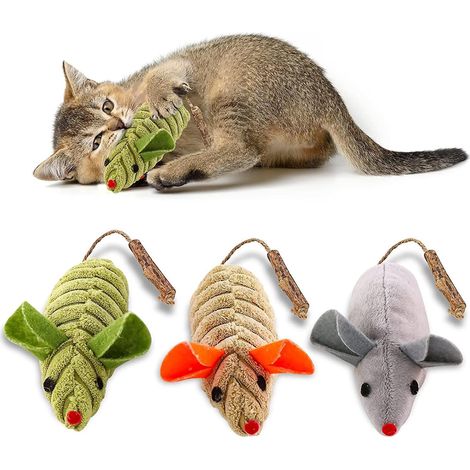 3pcs Toys,souris Et Animaux Interactifs Pour Chats Et Chatons Dintrieur,dental Cat Nip Peluche Jouet,e Chat Mcher Jouet Pour Lexercice (1/5)