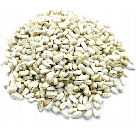 SEMILLAS DE C脕RTAMO 1 KG 100% NATURALES