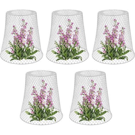 Tuteur pour végétaux, Cloche de protection pour plantes en métal - Lot de 5, Blanc (1/5)