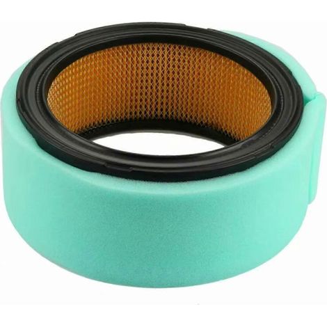 Luftfilter für Motor 24 083 03-S 24 883 03-S1 Gartengeräte (1/5)