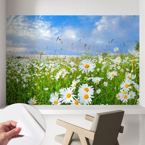 Papier peint autocollant Mural avec colle pour salon et chambre Décoration murale rapide Prairie estivale 104x70 cm (1/5)