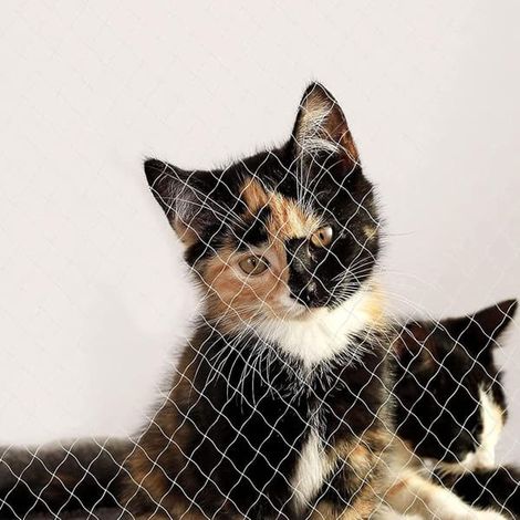 Filet pour chat de balcon - 4 x 3 m - Facile à monter - Système de clôture pour chat - Filet de protection - Chat - ou - Fenêtre - Blanc