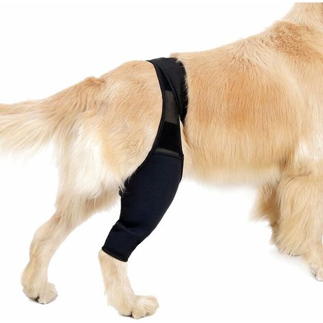Attelle De Soutien Pour Patte De Chien - Avant Arrière - Taille XS - Pour Entorse Et Rééducation - 1 Pièce (1/5)