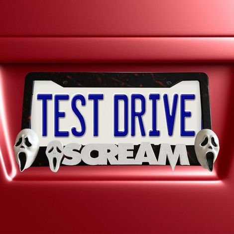 Cadre de plaque d'immatriculation d'Halloween - Cache-plaque d'immatriculation effrayant - Accessoires auto personnalisés (1/4)