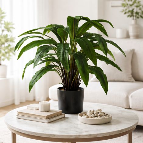 60cm Artificial Calathea Plant (1/5)