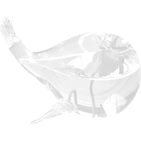 Vase décoratif en verre transparent en forme de baleine pour plantes hydroponiques (1/5)