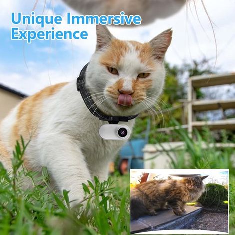 Collier caméra sans fil 1080p haute qualité pour animaux de compagnie, idéal pour l'enregistrement vidéo. Caméra de surveillance discrète, compatible avec les accessoires pour animaux. Sans fonction W (1/5)
