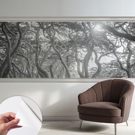 Carta da parati adesiva - fotomurale - facile da applicare - per la soggiorno - camera da letto - Foresta suggestiva 250x104 cm (1/5)