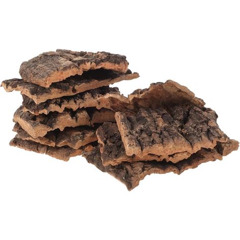 Lot de 10 Écorces D’Arbre Décoratives Naturelles pour Terrarium Cachette et Plateforme D’Escalade pour Reptiles Lézards et Tortues Taille Petite 5-9 CM Bois Sûr et Solide (1/5)