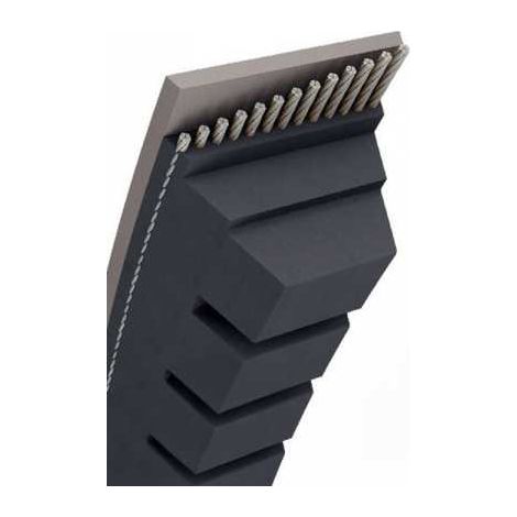 Courroie tondeuse AX48 trapézoïdale crantée  13 x 1269 mm (1/5)