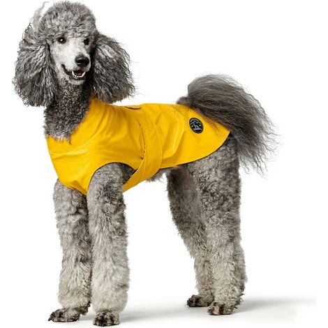 Abrigo para Perro Hunter Milford Amarillo 25 cm (1/5)