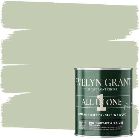 EVELYN GRANT All-IN-ONE Paint & Primer - Multi-Surface Paint For Interior Walls, Outdoor Garden & Exterior Walls, Wood Furniture - High Durability Multi-Feature - Sage Green - 1L - Matt