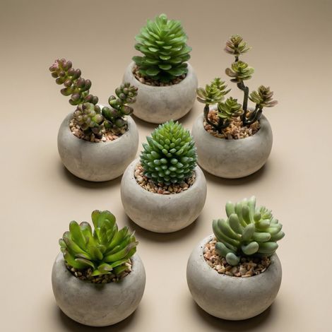 Lot de 6 Mini Plantes Succulentes Artificielles en Pot de Ciment Gris Ø 6,5 cm Décoration Maison - PANGIVO (1/3)