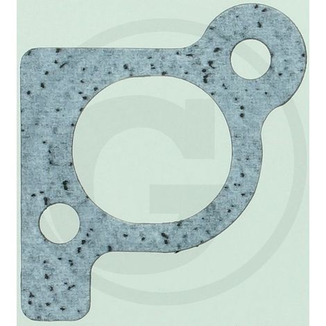 Guarnizione BRIGGS ET STRATTON 806418