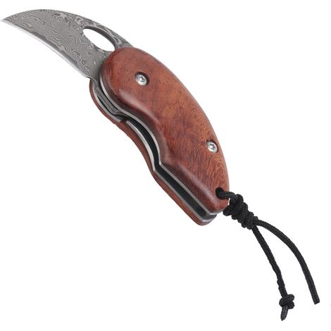 Mini-Klappmesser für den Außenbereich mit Damaststahlklinge und Rosenholzgriff, inklusive Schutzhülle (1/5)
