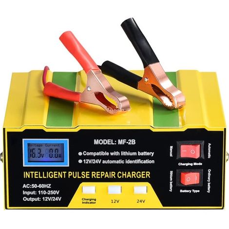 Chargeur de Batterie 12V/24V pour Voiture, Camion et Moto - Mainteneur d'Égouttement pour Batterie au Plomb Acide (1/5)
