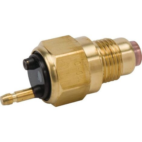 Interruptor t茅rmico a 110 掳C YANMAR 12125044901YAN (1/2)