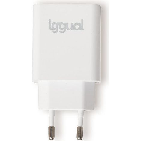 Cargador de Pared iggual IGG318164 20 W (1/4)