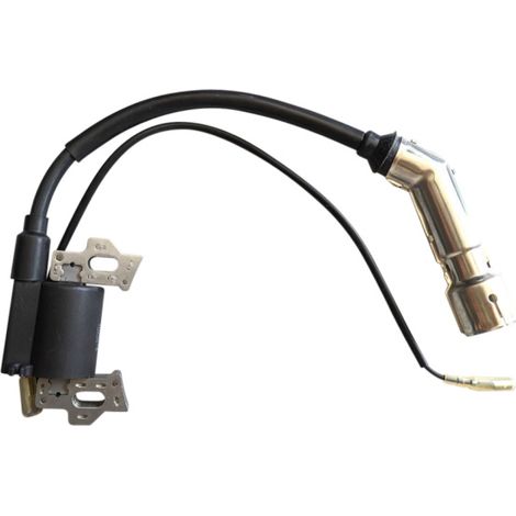 Ersatz Zündspule 168F 20140508 für Motorpumpen uvm. (1/3)