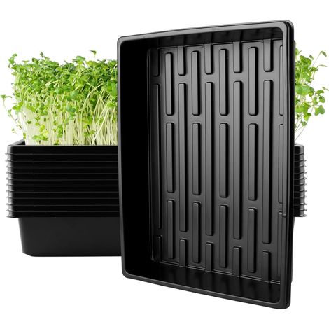 12 x Plastic Grow Bowls 39 x 29 x 6.5 cm  For Growing Plastic Grow Bins No Holes at the Bottom for Plants, Herbs, Flowers, Vegetables and Fruits (1/5)