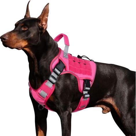 WINGOIN taktisches Geschirr für große Hunde, robustes Anti-Zug-Geschirr mit Griff, verstellbare reflektierende Weste (L) (1/5)