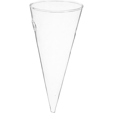 Vase en verre transparent avec fonction de propagation, design mural minimaliste (1/5)